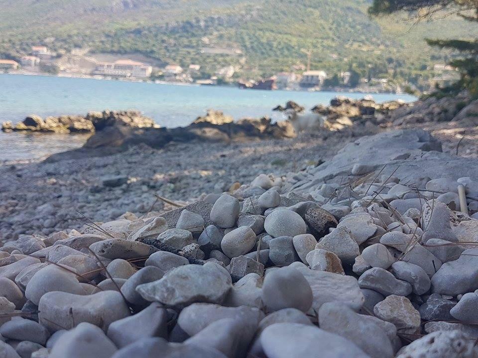 Hanas Dream Places Zaton  Exterior foto